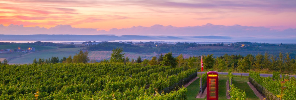 Rolling hills of the agricultural annapolis valley