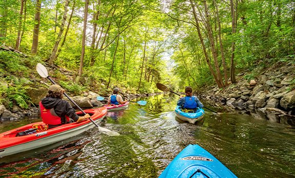 shubie kayaking