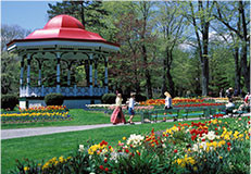 Public Hanging Gardens