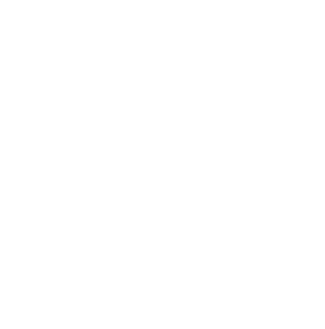 surfer icon