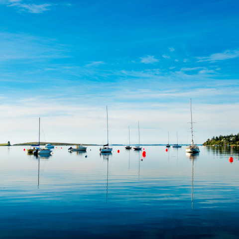 Digby boats on horizon