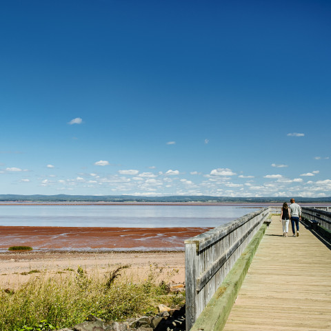 One on many Nova Scotia beach vistas