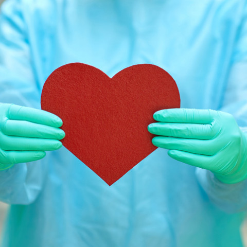 doctor holding heart